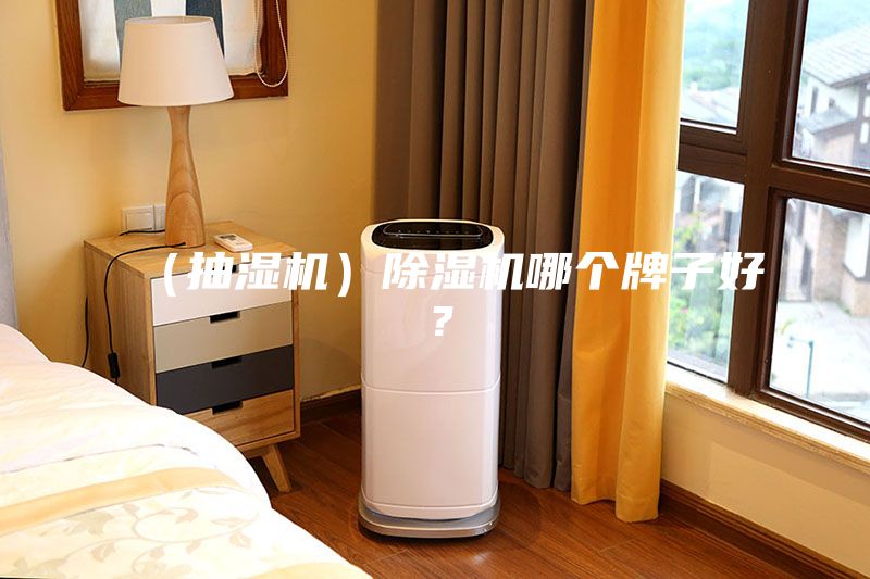 （抽濕機）除濕機哪個牌子好？