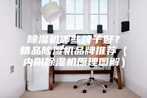 除濕機哪些牌子好？精品除濕機品牌推薦（內附除濕機原理圖解）