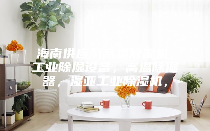 海南供應耐高溫除濕機，工業除濕設備，高溫除濕器，濕亞工業除濕機，