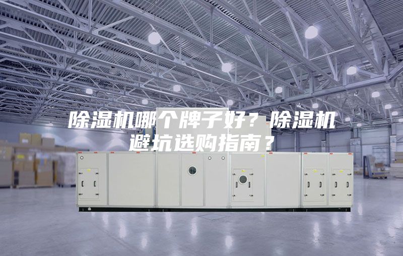 除濕機哪個牌子好？除濕機避坑選購指南？