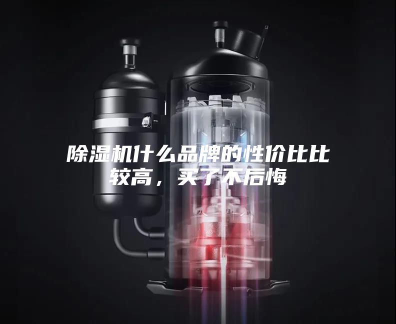 除濕機什么品牌的性價比比較高，買了不后悔