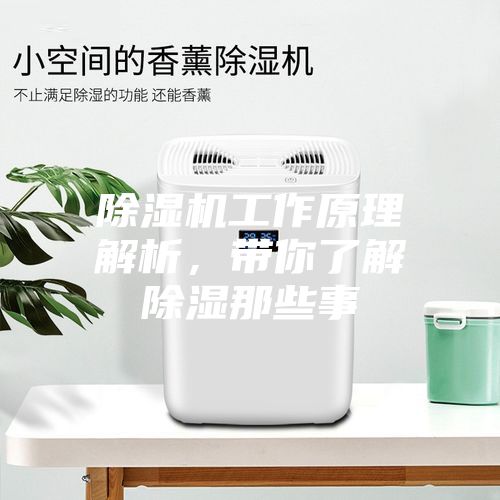 除濕機工作原理解析，帶你了解除濕那些事