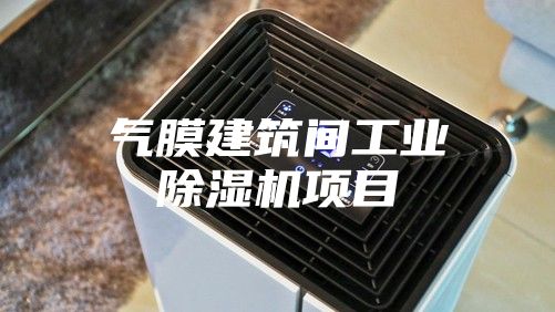 氣膜建筑間工業(yè)除濕機(jī)項目