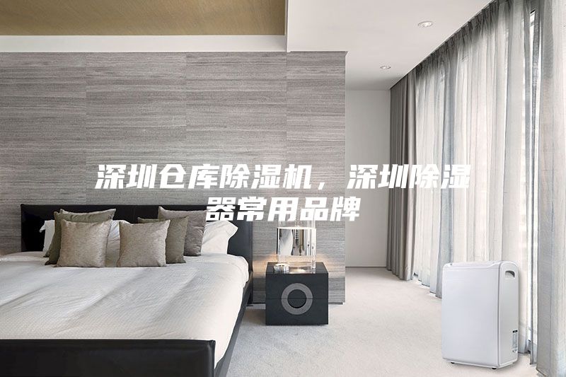 深圳倉(cāng)庫(kù)除濕機(jī)，深圳除濕器常用品牌