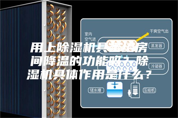 用上除濕機具備給房間降溫的功能嗎？除濕機具體作用是什么？