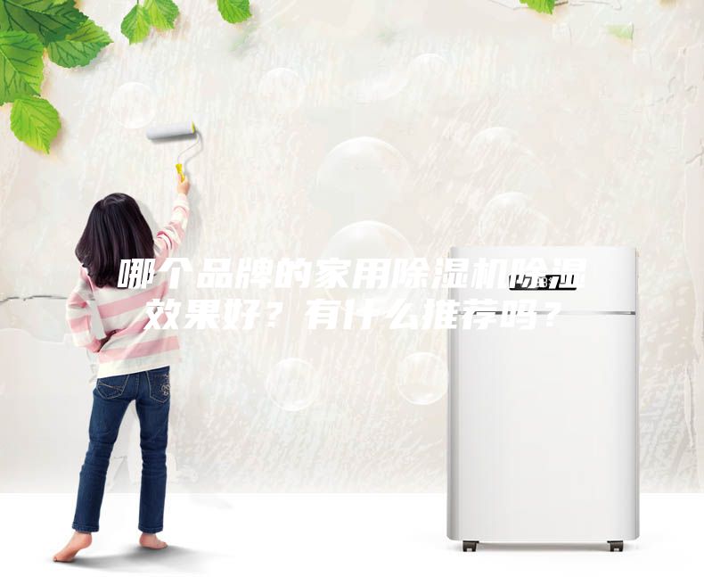 哪個品牌的家用除濕機除濕效果好？有什么推薦嗎？