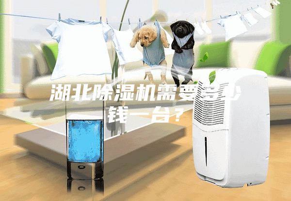湖北除濕機需要多少錢一臺？