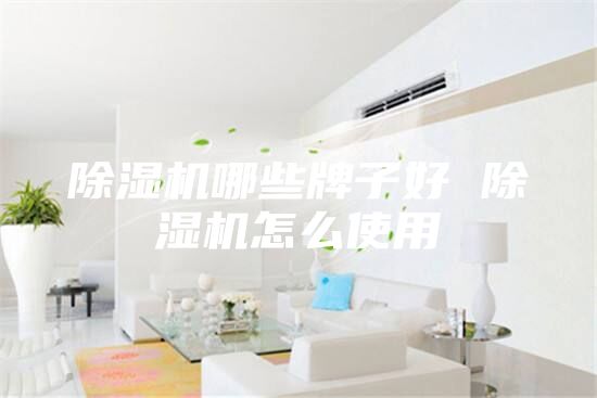 除濕機哪些牌子好 除濕機怎么使用