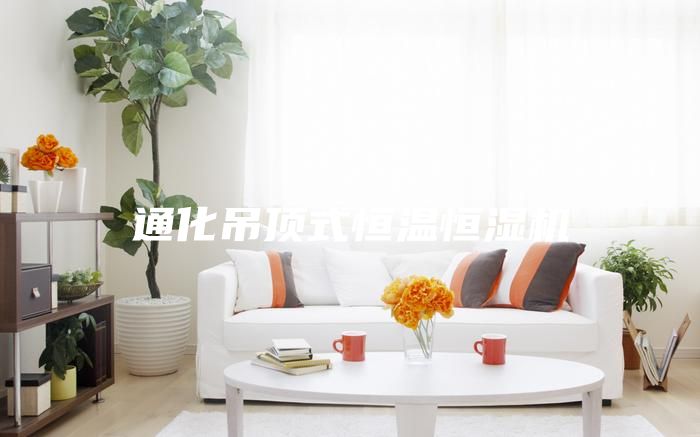 通化吊頂式恒溫恒濕機(jī)