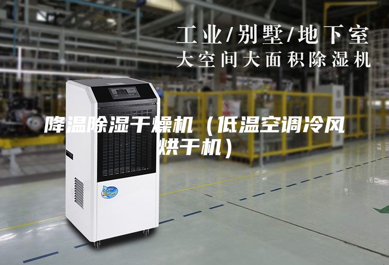 降溫除濕干燥機(jī)（低溫空調(diào)冷風(fēng)烘干機(jī)）