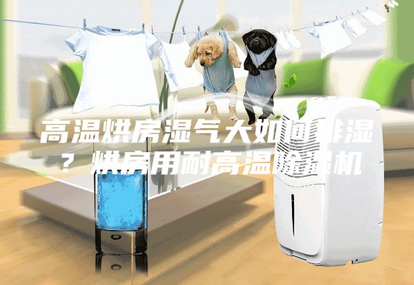 高溫烘房濕氣大如何排濕？烘房用耐高溫除濕機(jī)